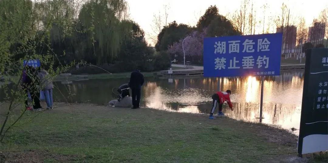 23f92846598843881acd3d1f61f595ee.jpg