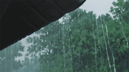 ad7a6d2603f05b6f722f38eea075a760.gif