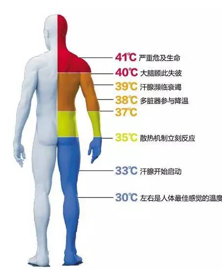 cf740fad901a7b2cbe70dd7ed52ca7bf.jpg