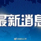 警惕新冠病毒母婴垂直传播风险，同济医院诊断首例新生儿新冠病毒感染 ...